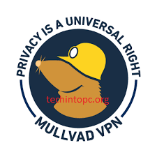 Mullvad VPN 2022.1 Crack